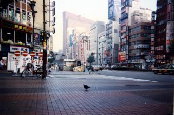 1994_04_夜明けの歌舞伎町.jpg