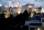 29．現代新宿的事情 ―大きな街の灯・小さな家の灯―