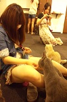 9．「東京人」のペットの“買い”方 ―猫と戯れる時間の消費―